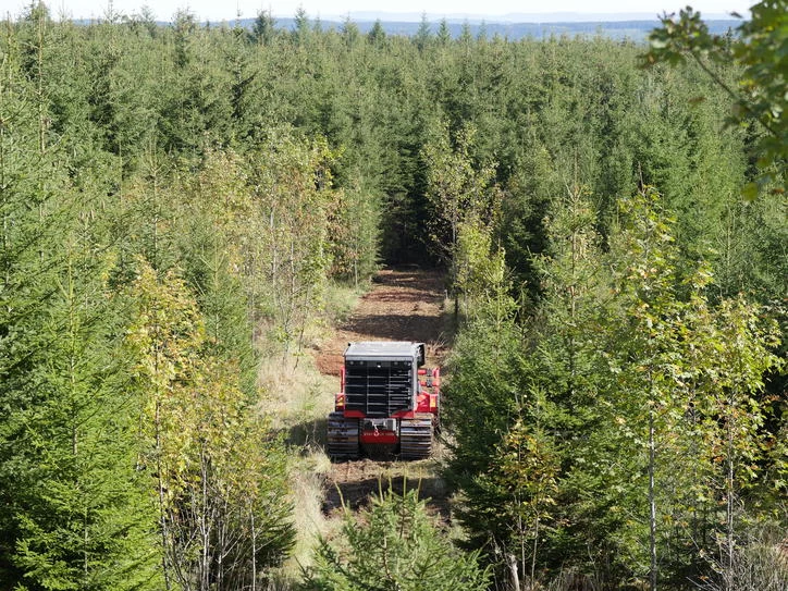 Prinoth